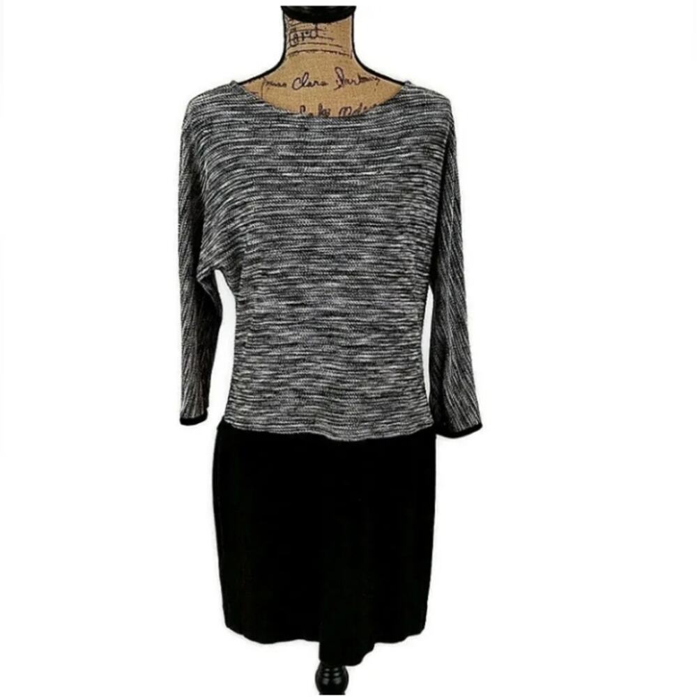 Ann Taylor LOFT Drop Waist Sweater Dress